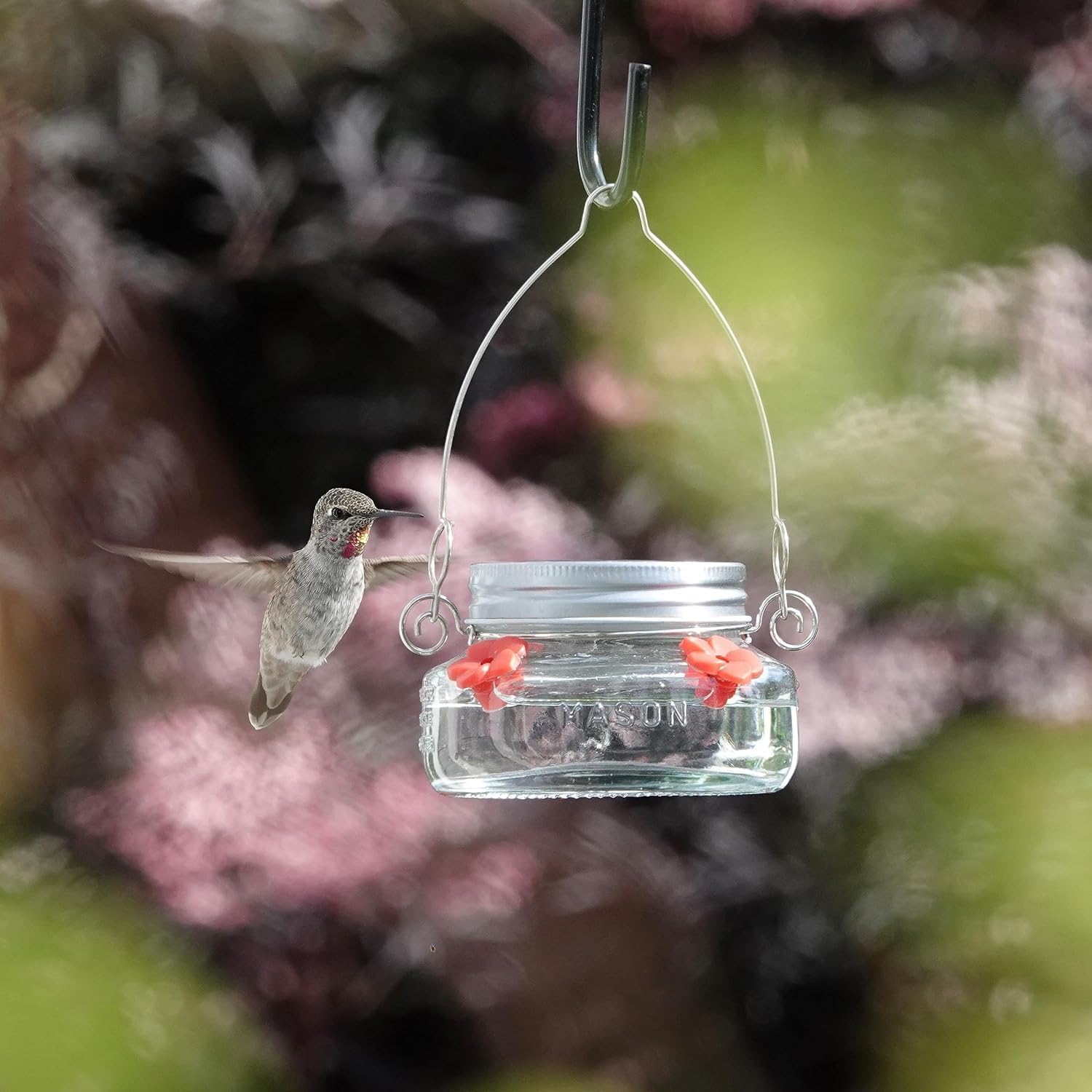 Mason Jar Hummingbird Dish Feeder, Birds Product, Birds Feed Dish - 4