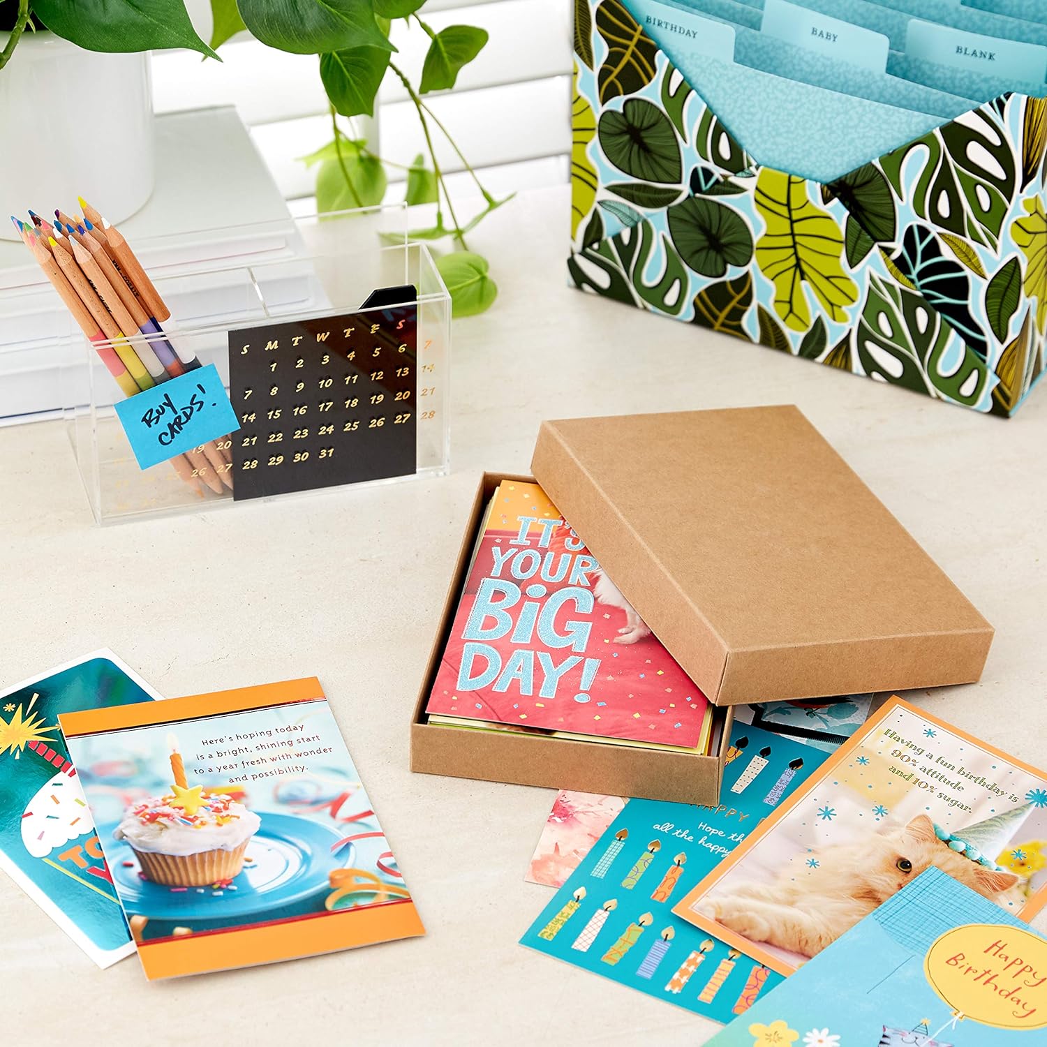 Birthday Cards Assortment, Birthday Card with Envelope -Pack of 20