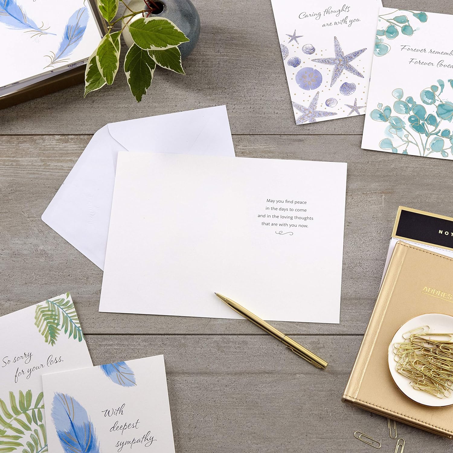 Birthday Cards Assortment, Birthday Card with Envelope -Pack of 20